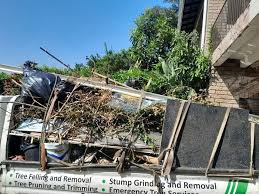 Best Moving and Downsizing Cleanouts  in Leslie, MI